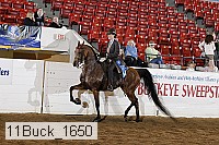 11buck_1650 proof