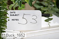 11buck_1652 proof