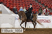11buck_1654 proof
