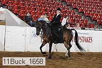 11buck_1658 proof