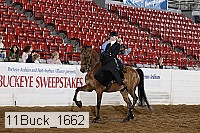 11buck_1662 proof