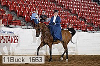 11buck_1663 proof