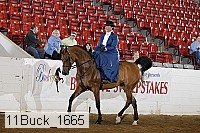 11buck_1665 proof