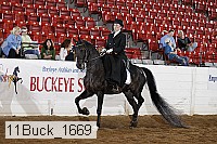 11buck_1669 proof