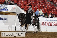 11buck_1671 proof