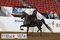 11buck_1674 proof