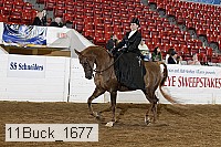11buck_1677 proof