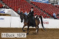 11buck_1679 proof