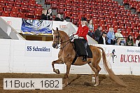 11buck_1682 proof
