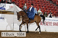 11buck_1684 proof