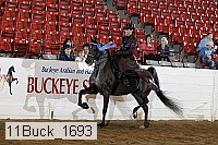 11buck_1693 proof
