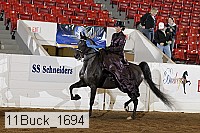 11buck_1694 proof