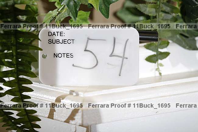 Proof 11buck_1695