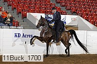 11buck_1700 proof