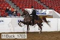 11buck_1703 proof
