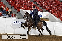 11buck_1706 proof