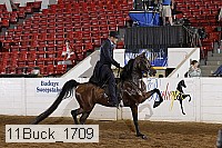 11buck_1709 proof