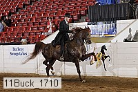 11buck_1710 proof