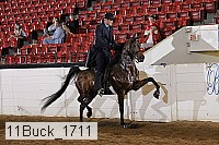 11buck_1711 proof