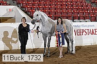 11buck_1732 proof