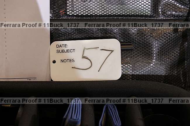 Proof 11buck_1737
