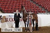 11buck_1746 proof