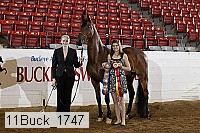 11buck_1747 proof