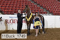 11buck_1749 proof