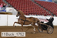 11buck_1752 proof