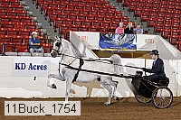 11buck_1754 proof