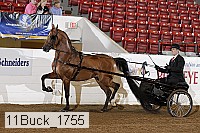 11buck_1755 proof