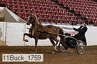 11buck_1759 proof