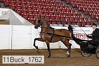 11buck_1762 proof
