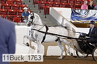 11buck_1763 proof