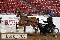 11buck_1765 proof