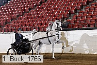 11buck_1766 proof