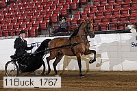 11buck_1767 proof