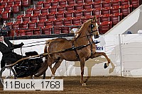 11buck_1768 proof