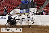 11buck_1770 proof