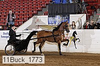 11buck_1773 proof
