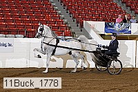 11buck_1778 proof