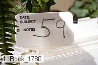 11buck_1780 proof