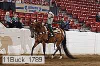 11buck_1789 proof