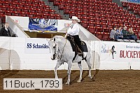 11buck_1793 proof