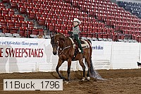 11buck_1796 proof