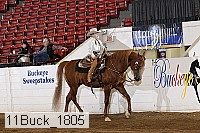 11buck_1805 proof