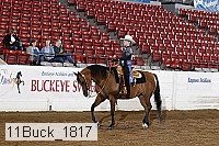 11buck_1817 proof