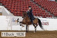 11buck_1826 proof