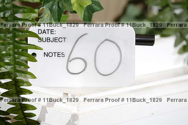 Proof 11buck_1829