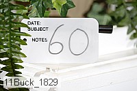 11buck_1829 proof